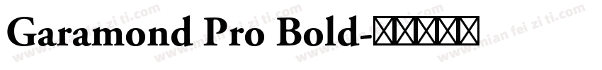 Garamond Pro Bold字体转换